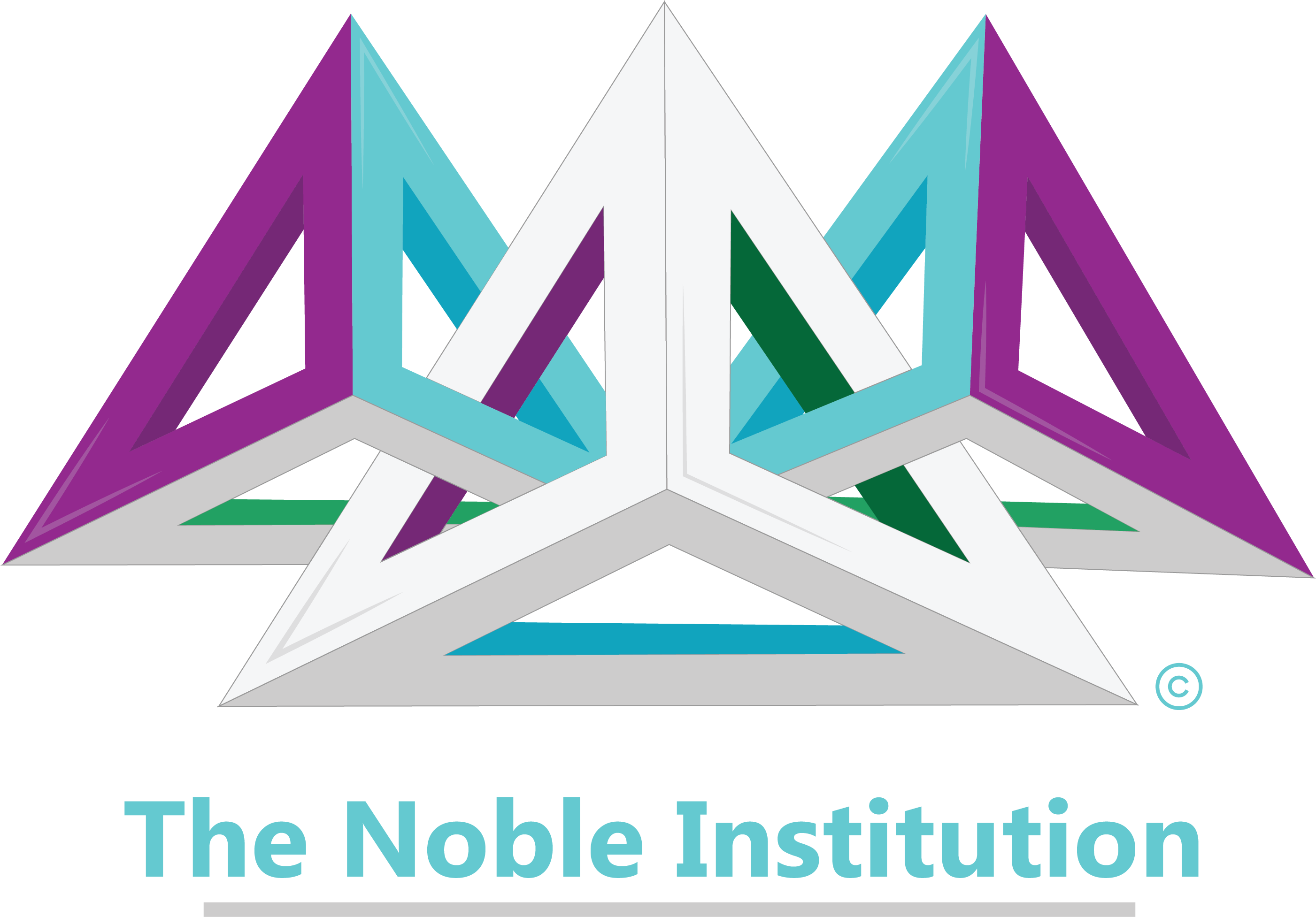 The Noble Institution